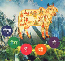 Gau Vipra Raksha Hetu